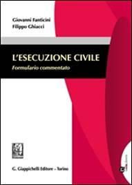 L’ esecuzione civile