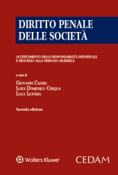 Diritto penale della società