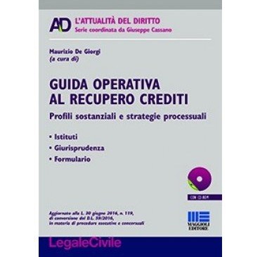 Guida operativa al recupero crediti