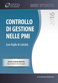 Il controllo di gestione nelle PMI