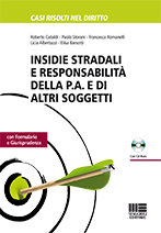 Insidie stradali e responsabilità della P.A. e di altri soggetti