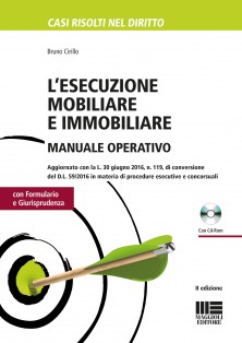 L’esecuzione mobiliare e immobiliare – Manuale operativo