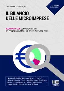 Il bilancio delle microimprese