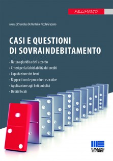 Casi e questioni di sovraindebitamento