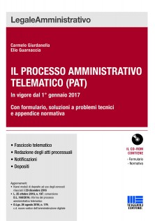 Il processo amministrativo telematico (PAT)