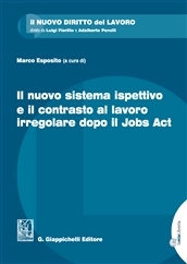 Il nuovo sistema ispettivo e il contrasto al lavoro irregolare dopo il jobs act