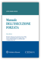 Manuale dell’esecuzione forzata