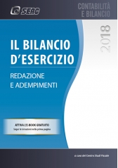 Il bilancio d’esercizio