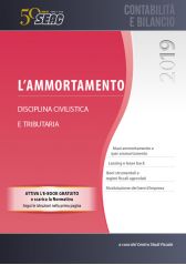 L’ammortamento 2019