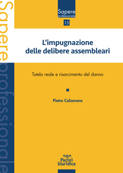 L’impugnazione delle delibere assembleari