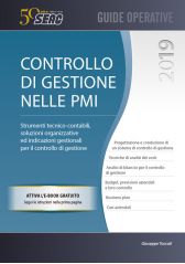 Controllo di gestione nelle Pmi 1029