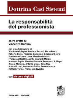 La responsabilità del professionista