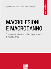 Macrolesioni e macrodanno