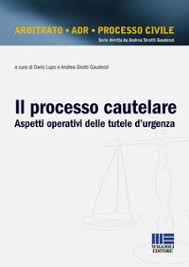 Il processo cautelare. Aspetti operativi delle tutele d’ urgenza