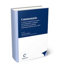 Commentario al contratto standard di concessione per la progettazione, costruzione e gestione di opere pubbliche in partenariato pubblico-privato (PPP)