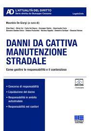 danni-da-cattiva-manutenzione-stradale