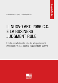 Il nuovo art. 2086 C.C.e la business judgment rule
