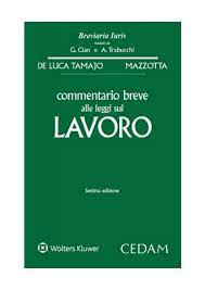 Commentario breve alle leggi sul lavoro
