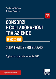 Consorzi e collaborazioni tra aziende