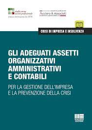 Gli adeguati assetti organizzativi amministrativi e contabili