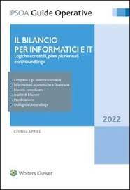 bilancio per informatici e it