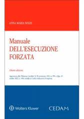 Manuale dell’esecuzione forzata