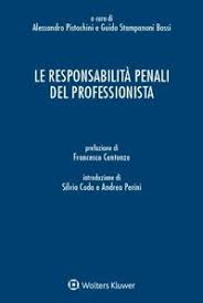 Le responsabilità penali del professionista