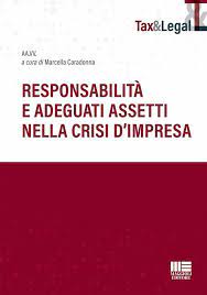 responsabilita adeguati assetti crisi impresa