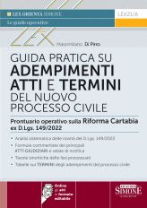 Guida pratica su adempimenti atti e termini del nuovo processo civile