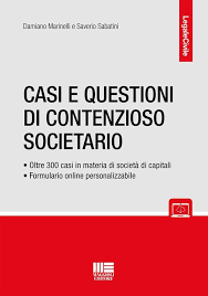 casi e questioni contenzioso societario