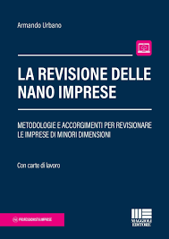 revisione nano imprese