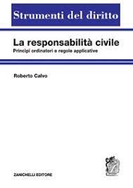 La responsabilità civile